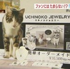 猫好きにはたまらないニャー！熊本市の百貨店で