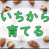 秋なので実を拾って木を育てたいという私の野望