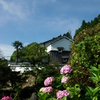 「梅雨の晴れ間」　（月末・臨時エントリー）