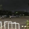 さくら公園