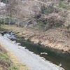 4月3日(木)秩父フライフィールドの河川情報