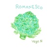 第９回：世界一美しい野菜！ロマネスコ