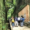 【東京発日帰り旅】猿島・横須賀