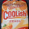 クーリッシュ 濃密みかん！カロリーや値段や味は？コンビニでも買えるアイス商品
