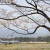 春のうららの松本空港