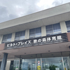 ウォーキング&ウェイトトレーニング！体育館！