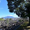 鹿児島の浄光明寺跡（南洲墓地）、イギリス艦隊の標的となった大寺院