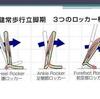 脳卒中の歩行と足関節のロッカー機能！