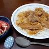 クロールで３０００ｍスイミングと豚丼がまた食べたいと言っていたので