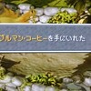 ＭＰ日記　ＦＦ９編　第７回　カード増えた