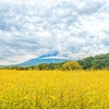 花の都公園へ その３