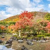 洗練された美しさ！京都北山モノリスの魅力