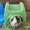 どんだけ地獄
