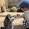 【ブログご無沙汰しております】