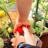 もったいなくない人生を送る