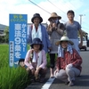 九条たんぼー草取りと看板立て