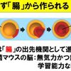 第一の脳は腸。。その理由。。