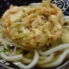 野菜かき揚げ天ぷら　讃岐うどん