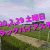 2020,2,29 土曜日 トラックバイアス予想 (中山競馬場、阪神競馬場、中京競馬場)