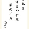 み仏を守るや仁王栗のイガ