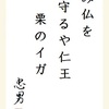 み仏を守るや仁王栗のイガ