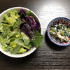 小松菜消費進捗