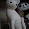 土屋仁応のぬいぐるみ「子猫 Kitte」