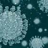 【最新】武漢研究所が警告、MERSに近い新型コロナウイルスを発見 致死率36%のリスク