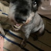 ふくすけ特集やっちゃうよ