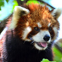 情報商材レビューサイト  詐欺商材を見極めよう！