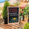 390円からはじめるお花のある暮らし ユニクロフラワー