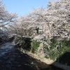 去りゆく桜の季節に日本ワインを。　シャトーメルシャン　甲州小樽仕込み