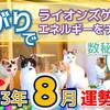 【数秘⑤の方へ】2023年8月運勢