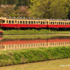 【小湊鐵道/いすみ鉄道】 田植唄。