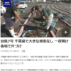 嵐の後に
