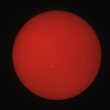 太陽のHα画像