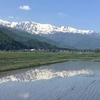 松本駅前の風景はどうなるのか