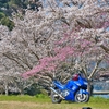 春風RIDE