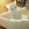 邦画と特撮、アニメに寄せて　映画『泣きたい私は猫をかぶる』の感想