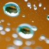 広角レンズで西金砂を歩く