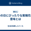 母の日にぴったりな紫陽花の意味とは
