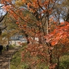 筑波山の紅葉が見頃です❗