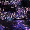 【デジタルアートミュージアム】teamLab☆Planets お台場