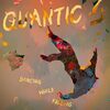 【今日の一曲】Quantic - Run (feat. Andreya Triana)