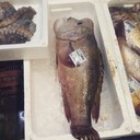 肛門よりいづる者