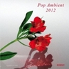  Pop Ambient 2012