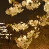 通勤往復のみ　TIME XPRO10