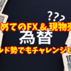 はじめてのFX ＆ 現物売り!!　～ホールド勢でもチャレンジしたい～