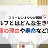 【葬送のフリーレン】エルフとは？特徴や強さなどについて徹底解説！