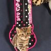 モデルねこに兄弟のおもかげ